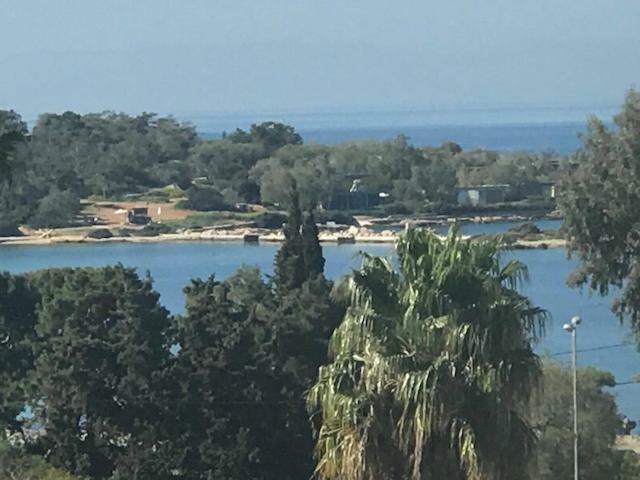Unique Apartment In Glyfada Center 雅典 外观 照片
